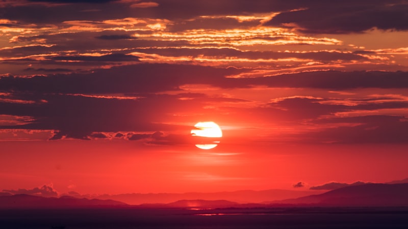 多路高清体育直播信号选择界面